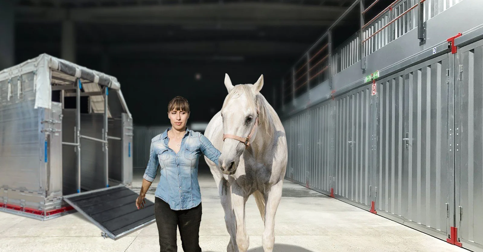 Premium horse transport truck